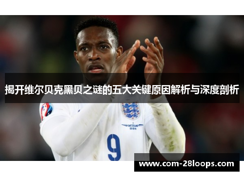 揭开维尔贝克黑贝之谜的五大关键原因解析与深度剖析