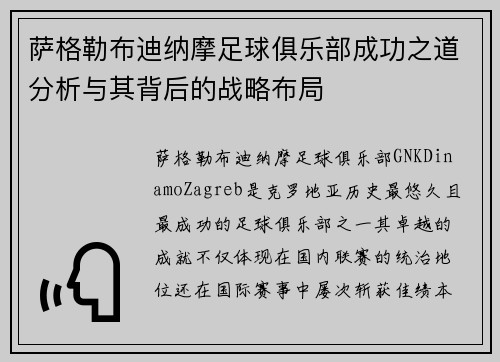 萨格勒布迪纳摩足球俱乐部成功之道分析与其背后的战略布局